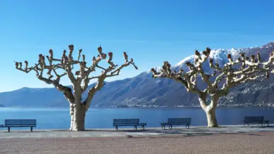 Wandern in Locarno - H-Hotels.com